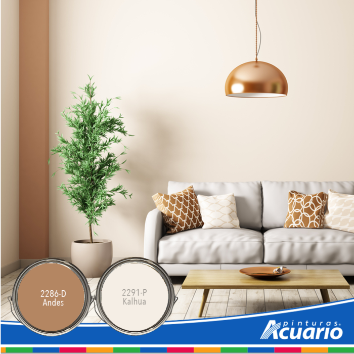 Pintar tu casa: Los trucos más fáciles para elegir el color | Blog Paqsa