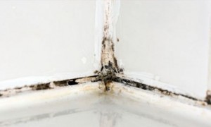 Elimina hongos de las juntas de baño